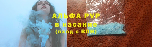 индика Володарск