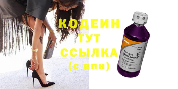 МДПВ Вяземский
