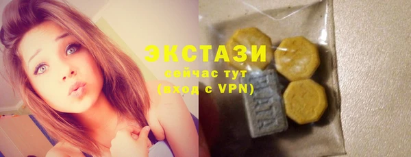 индика Володарск