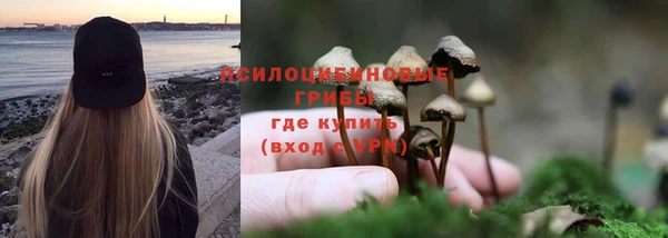 МДПВ Вяземский