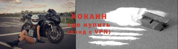 индика Володарск