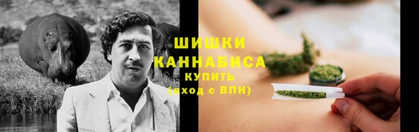 МДПВ Вяземский