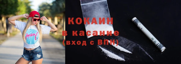 МДПВ Вяземский
