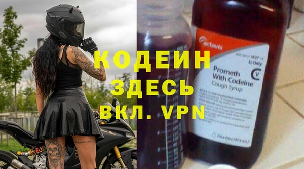 индика Володарск