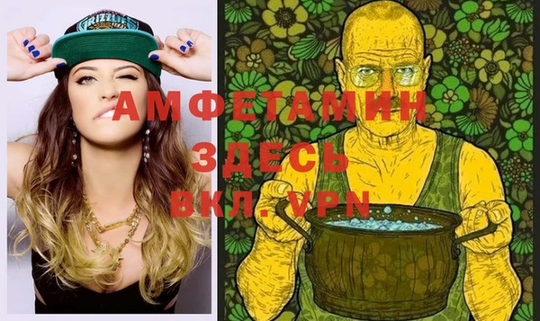индика Володарск