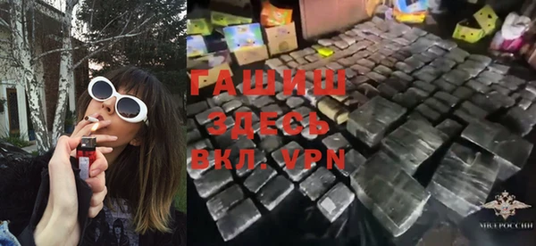индика Володарск