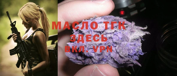 индика Володарск