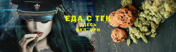 индика Володарск