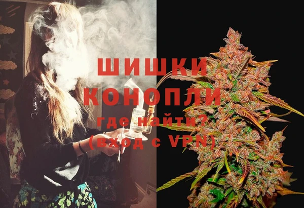 МДПВ Вяземский